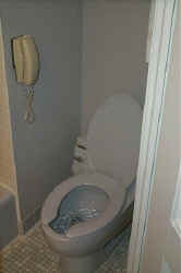 P0002915.jpg (20342 bytes)