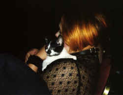 BA063.jpg (26901 bytes)