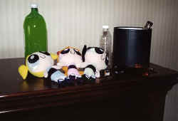 BA072.jpg (28470 bytes)