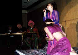 GS009.jpg (40803 bytes)