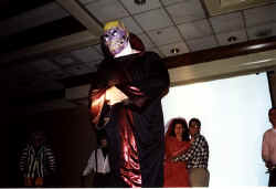 SF009.jpg (40765 bytes)