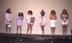 d15-14.jpg (86495 bytes)