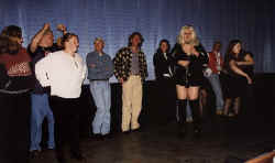 d09-15.jpg (37579 bytes)