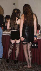 d17-21.jpg (42068 bytes)